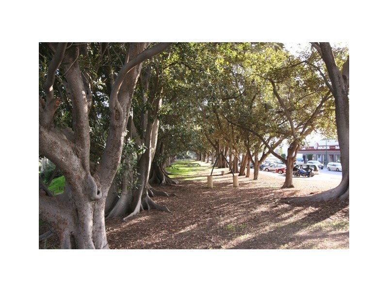 Lot 19 Margaret Street, Evanston SA 5116