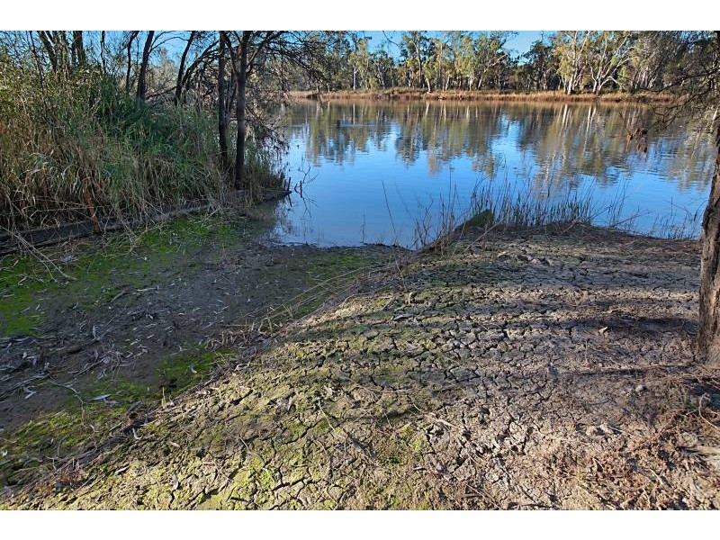 157  Scotts Creek Shack Road via, Morgan SA 5320