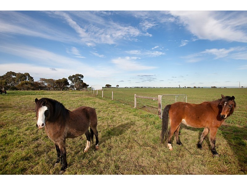Lot 51 Verner Road Reeves Plains via, Mallala SA 5502