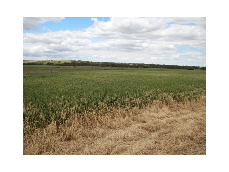 Sec 356 Hundred of Dutton Frankton Via, Truro SA 5356