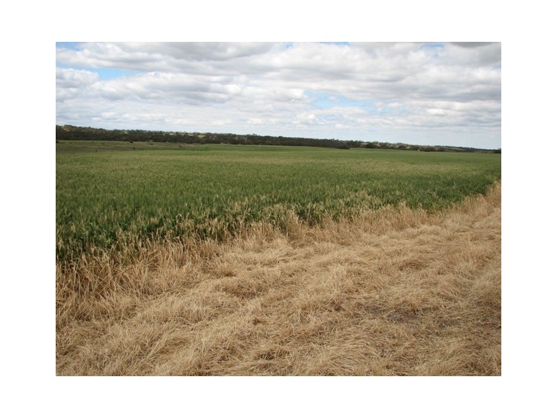 Sec 356 Hundred of Dutton Frankton Via, Truro SA 5356