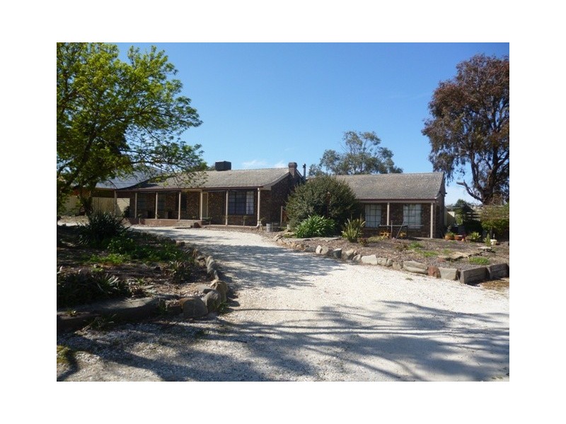 16 Vine Street, Nuriootpa SA 5355