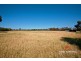 Lot 526 Owen – Mallala Road, Owen SA 5460
