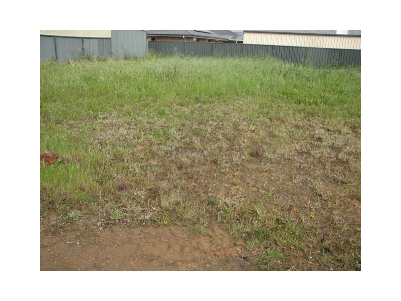 29 Pinot Crescent, Nuriootpa SA 5355
