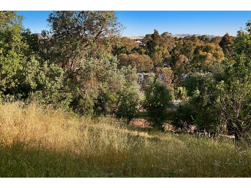 1C Murray Street, Tanunda SA 5352