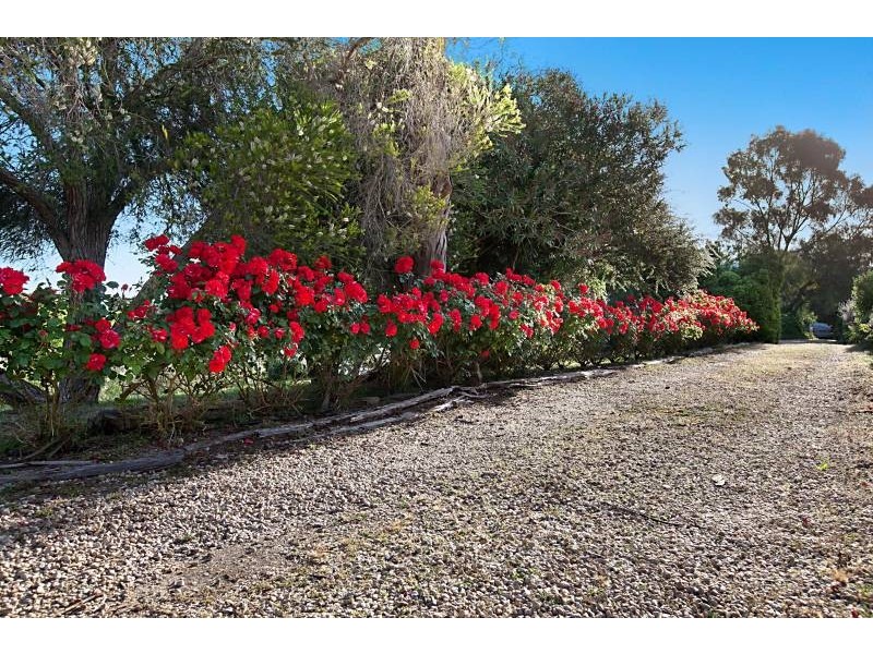 1C Murray Street, Tanunda SA 5352