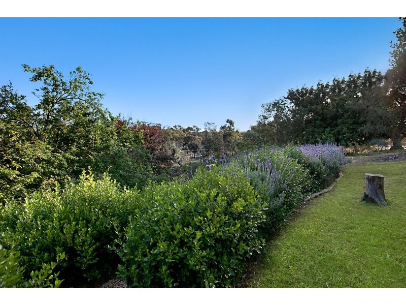 1C Murray Street, Tanunda SA 5352