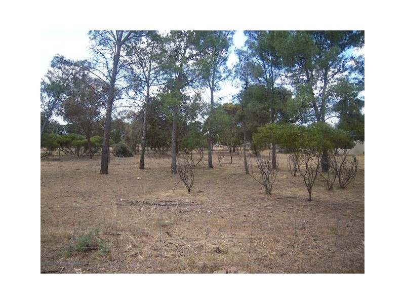 Lot 18  Elizabeth Street, Pinery SA 5460