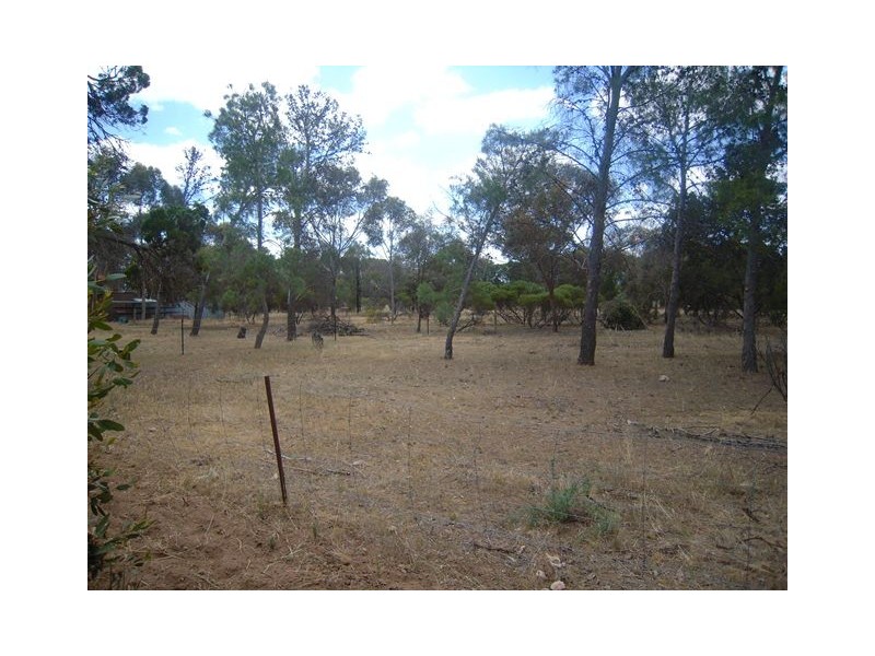 Lot 22  Elizabeth Street, Pinery SA 5460