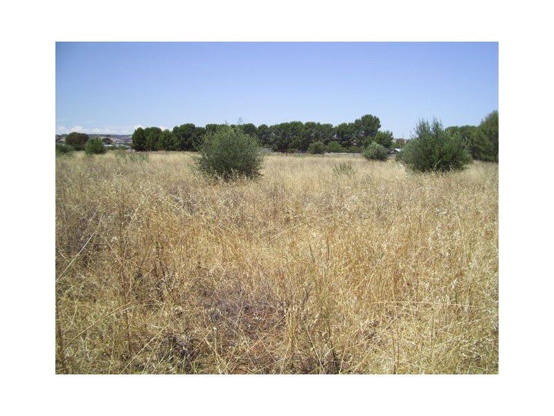 Lot 21 Ormsby Road, Kudla SA 5115