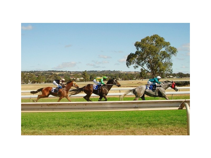 14 Cherry Street, Gawler South SA 5118