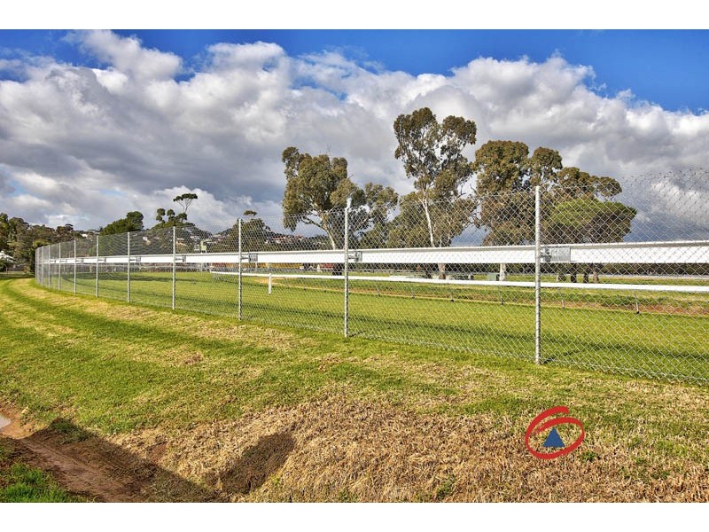 14 Cherry Street, Gawler South SA 5118