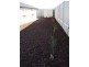 31. Stollberg Rd, Freeling SA 5372