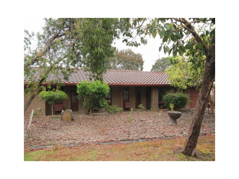 17 Selangor Avenue, Fairview Park SA 5126