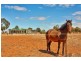 Lot 105 Collins Road, Mallala SA 5502