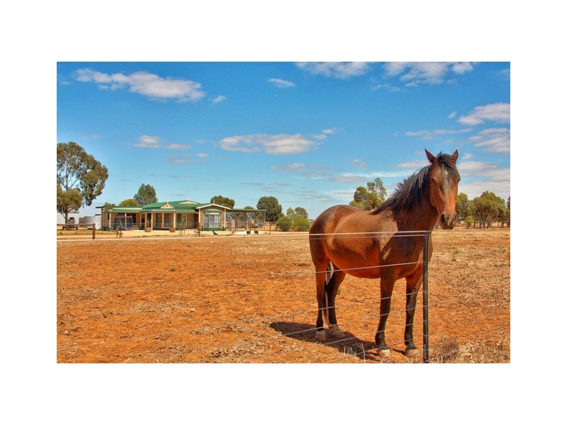 Lot 105 Collins Road, Mallala SA 5502