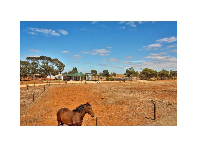 Lot 105 Collins Road, Mallala SA 5502