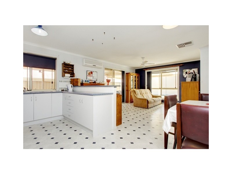 7 Holmes Street, Willaston SA 5118