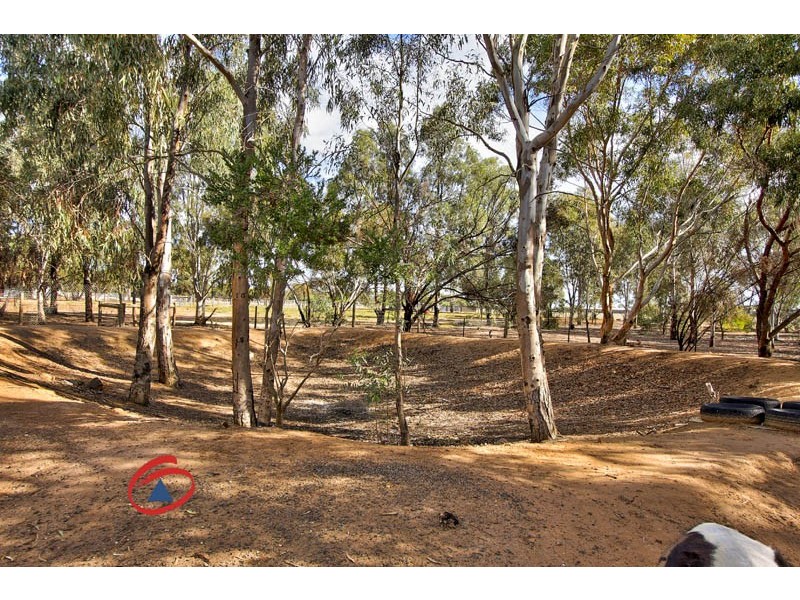 13 Aunger Road, Lewiston SA 5501