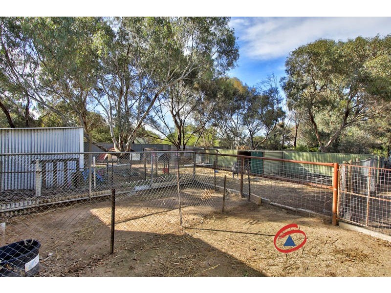 13 Aunger Road, Lewiston SA 5501