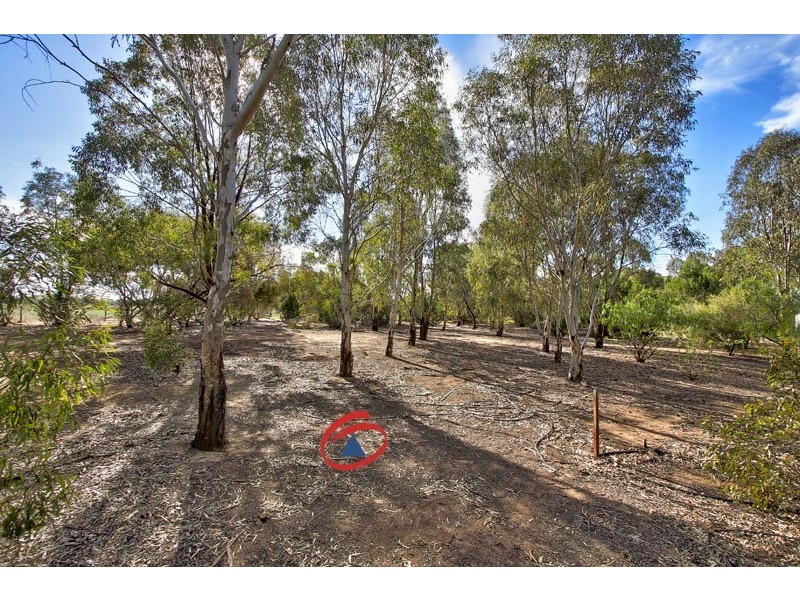 13 Aunger Road, Lewiston SA 5501