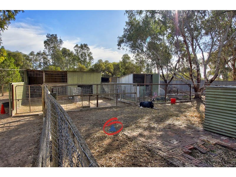 13 Aunger Road, Lewiston SA 5501