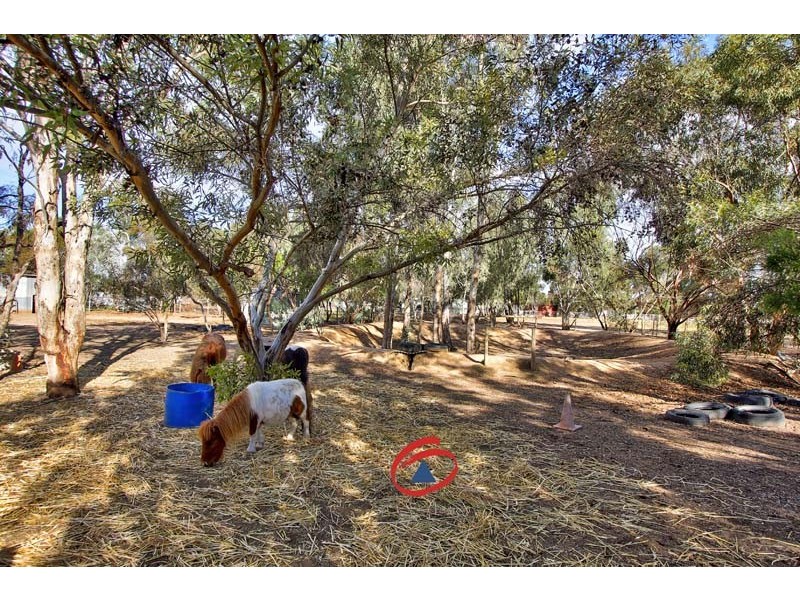 13 Aunger Road, Lewiston SA 5501