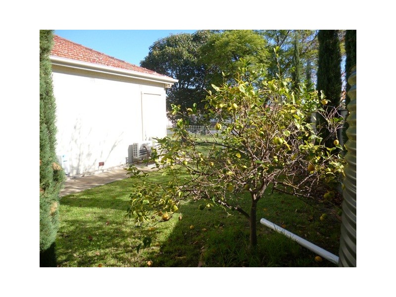 59 Gray Street, Plympton SA 5038
