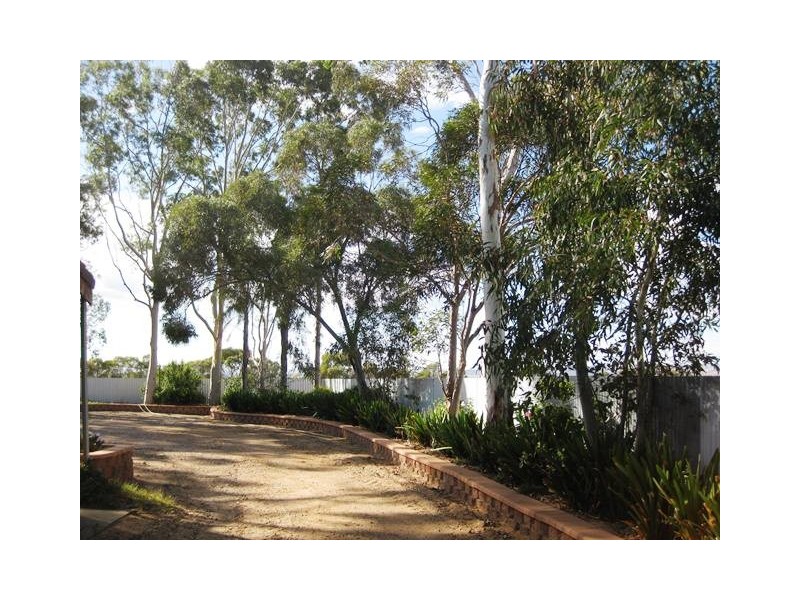 331 fairlie road, Ward Belt SA 5118