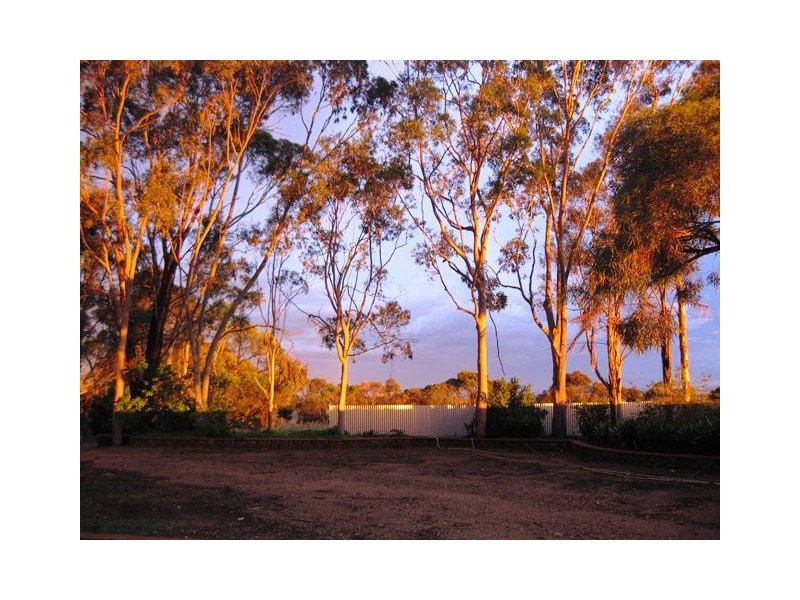 331 fairlie road, Ward Belt SA 5118