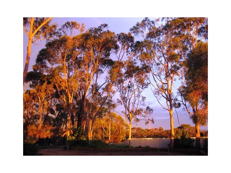 331 fairlie road, Ward Belt SA 5118