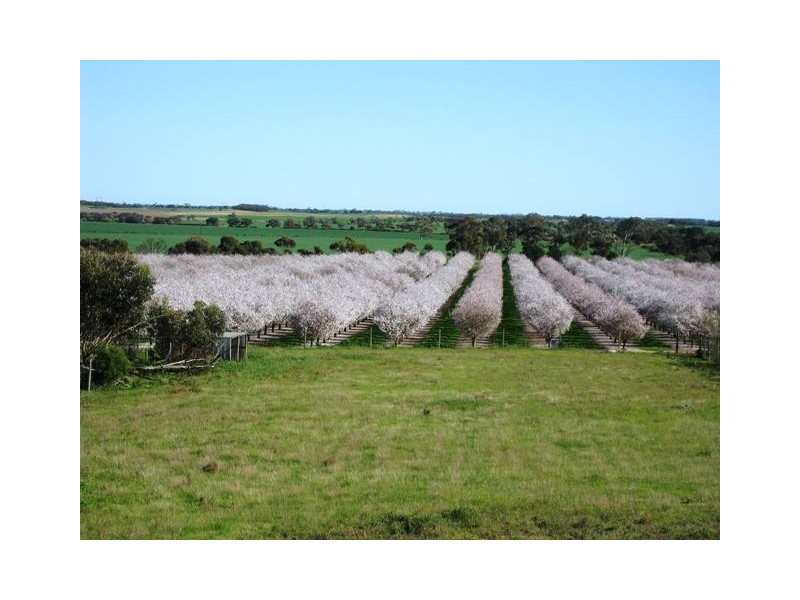 331 fairlie road, Ward Belt SA 5118