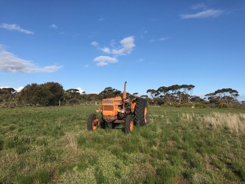 278 Harris Road, Dublin SA 5501