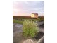 76 Fiddlewood Drive, Freeling SA 5372