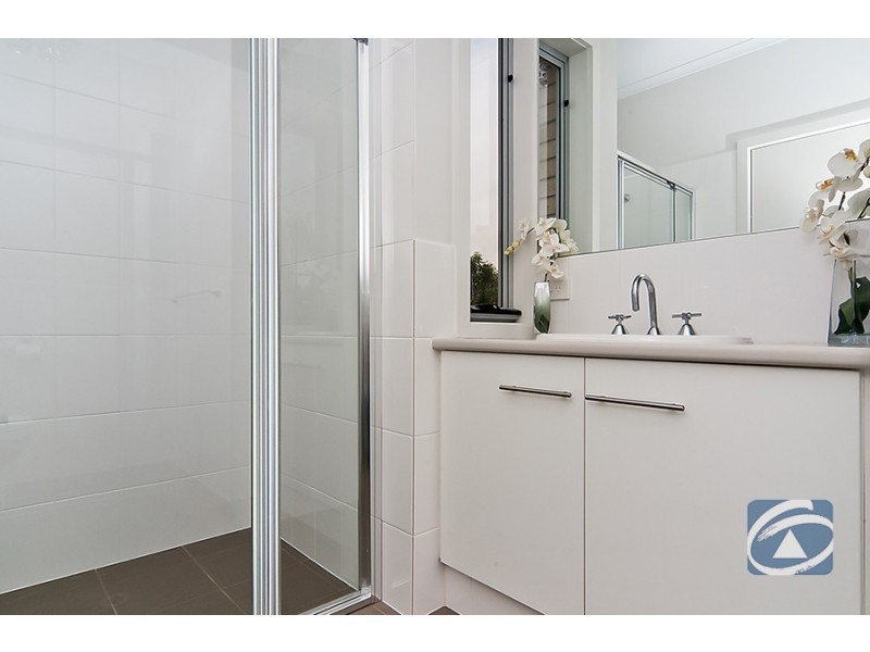 91 Hanson Road, Freeling SA 5372