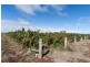 Lot 3 Old Port Wakefield Road, Virginia SA 5120