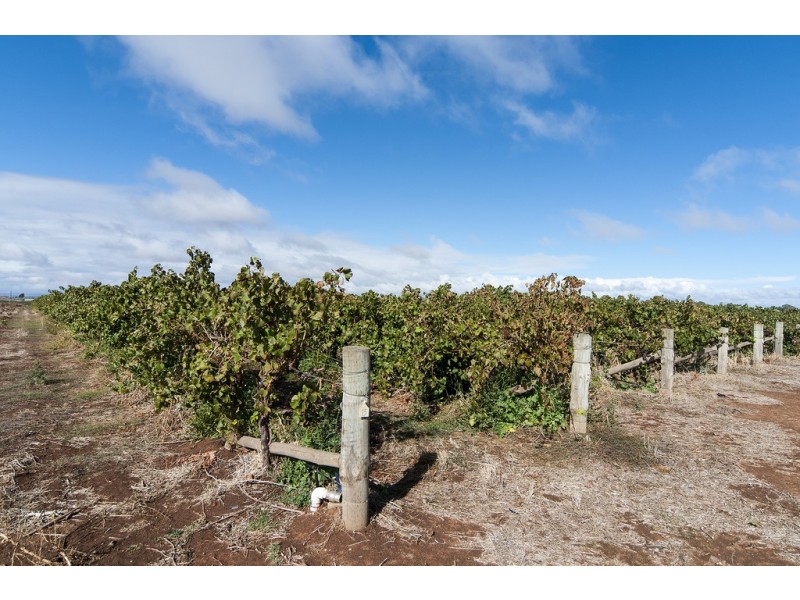 Lot 3 Old Port Wakefield Road, Virginia SA 5120