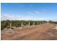 Lot 3 Old Port Wakefield Road, Virginia SA 5120