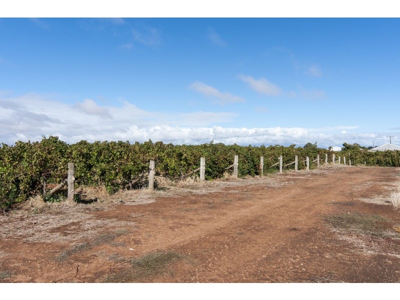 Lot 3 Old Port Wakefield Road, Virginia SA 5120
