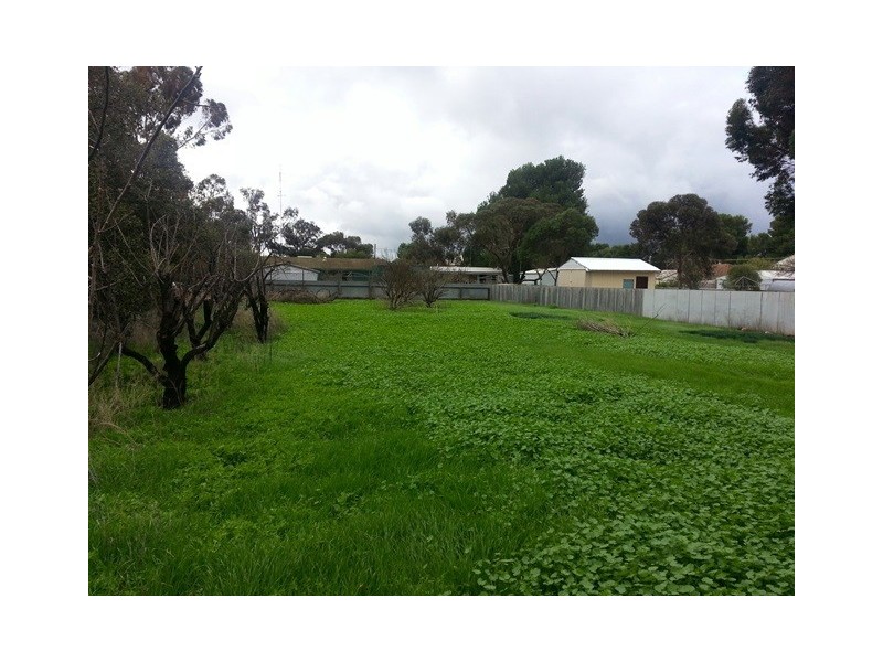4 Ninth Street, Snowtown SA 5520