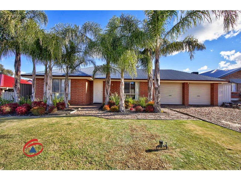 11 Meaney Drive, Freeling SA 5372