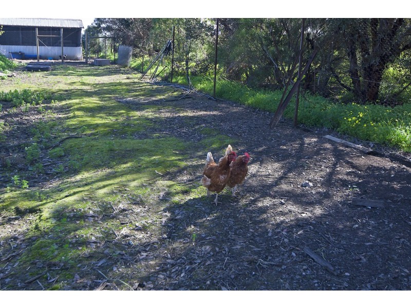 18 Tower Road (off Gawler River Road), Lewiston SA 5501