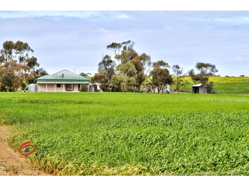 991 Old Dublin Road, Dublin SA 5501