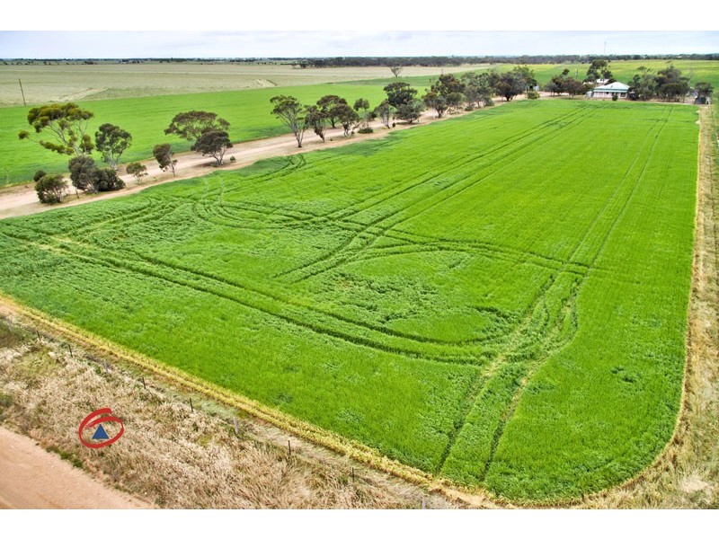 991 Old Dublin Road, Dublin SA 5501