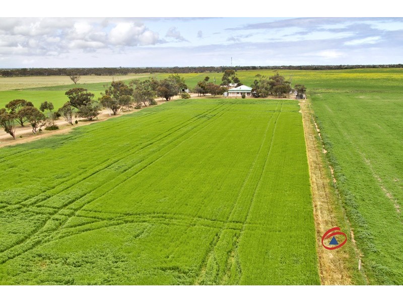 991 Old Dublin Road, Dublin SA 5501