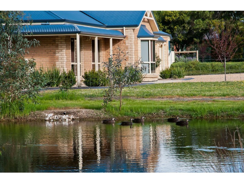 189 Cockatoo Lane, Cockatoo Valley SA 5351