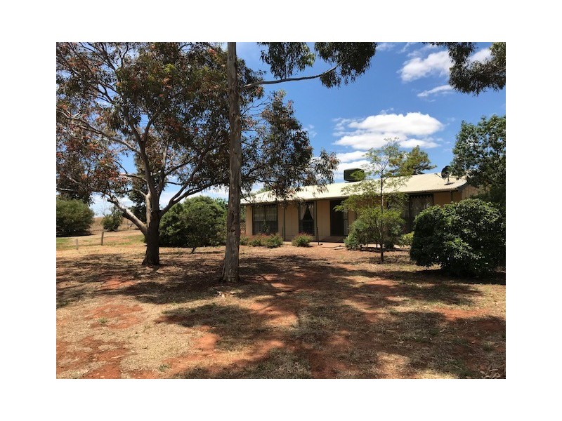 9 Tilbrook Street, Kapunda SA 5373