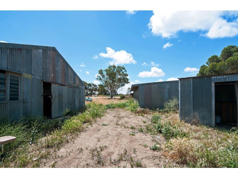 131 Dawkins Road, Lewiston SA 5501