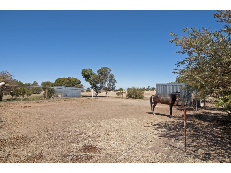 86 Frost Road, Lower Light SA 5501