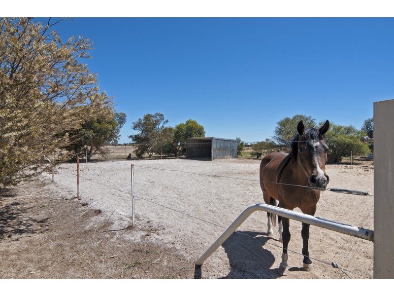 86 Frost Road, Lower Light SA 5501